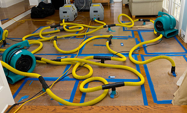 Professional Structural Drying And Dehumidification technician working in Danville, WV