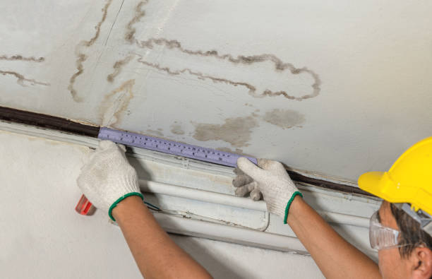 Affordable Water Damage Repair solutions in Danville, WV